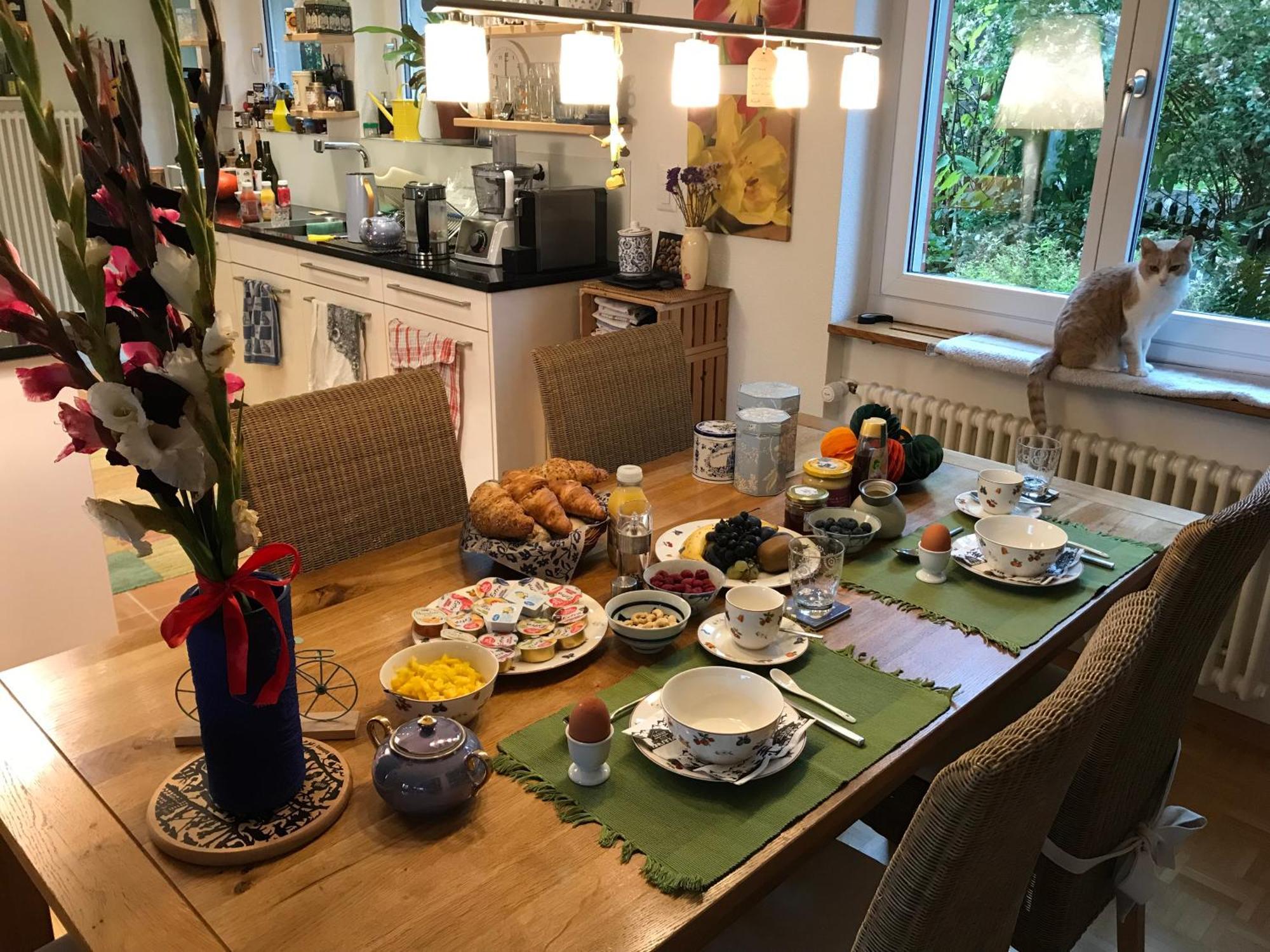 Guest Room Zollikon Zuerich 外观 照片