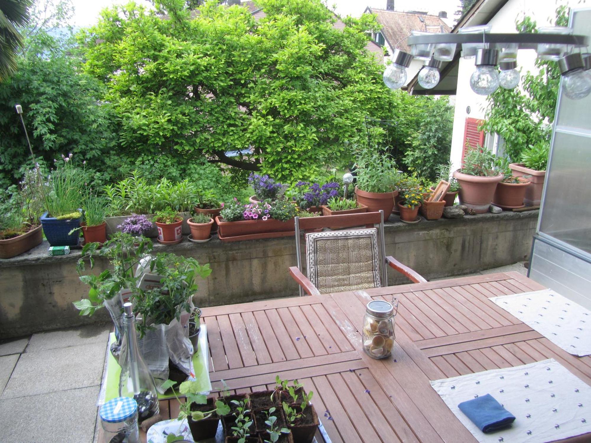 Guest Room Zollikon Zuerich 外观 照片
